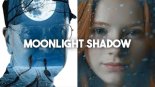 Mike Oldfield - Moonlight Shadow (LABACK Remix 2024)