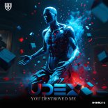 Udex - You Destroyed Me (Extended Mix)