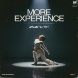 Awantalyst - More Experience