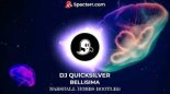 DJ Quicksilver - Bellissima ( Marshall Hobbs Bootleg )