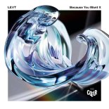 LEVT - Because You Want It (Original Mix)