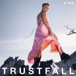 P!nk - Trustfall (Sunvibez Bootleg Mix)