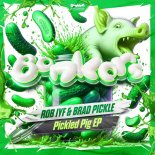 Rob IYF & Brad Pickle - Bright Lights