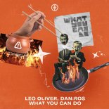 Leo Oliver, DANROS - What You Can Do