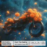 Alex Guesta, Nicola Fasano, Fatman Scoop, Salento Guys, RKN - Push The Feeling (Extended Mix)