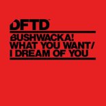 Bushwacka! - I Dream Of You (Extended Mix)