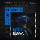 Dani Villa, Mario Vice - Feel