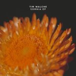 Tim Walche & Elio Chaeban - Resurgence