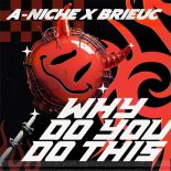 A-NICHE feat. Brieuc - Why Do You Do This