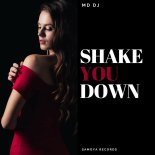 MD DJ - Shake You Down