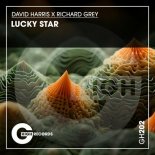 Richard Grey, David Harris - Lucky Star