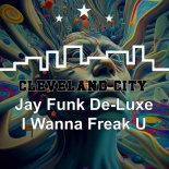 Jay Funk De-Luxe - I Wanna Freak You