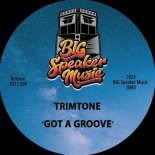 Trimtone - Got A Groove (Extended Mix)