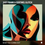 Just Frank, Sentinel Glitch - Disconnect (Original Mix)