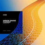 Pirate Snake, Pleight - Morning Light (Original Mix)