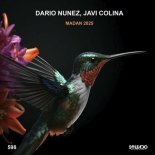 Dario Nunez, Javi Colina - Madan 2025 (Original Mix)