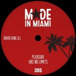 David King DJ - Pleasure Has No Limits