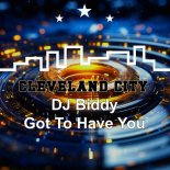 DJ Biddy - Got to Have You