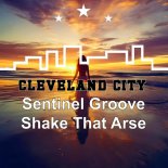 Sentinel Groove - Shake That Arse