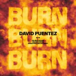 David Puentez - Burn