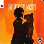 Definite Grooves & Crazy Fluke Feat. The Melody Men - One Of Them Nights