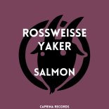 Rossweisse, Yaker - Salmon (Original Mix)