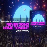 David Guetta & Alesso feat.Madison Love - Never Going Home Tonight (Citos Bootleg)