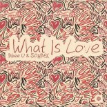 Blaze U X Sohbek - What Is Love