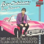 Roy Orbison - I'll Never Tell