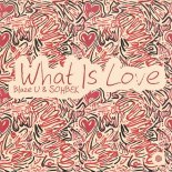 Blaze U & SOHBEK - What Is Love (Extended Mix)