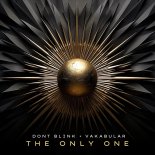 DONT BLINK, Vakabular - THE ONLY ONE (Extended Mix)