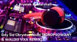 Krysiek & Marshall - Gdy Sie Chrystus Rodzi [ZDROPSOWANY & WALDIS VIXA REMIX] 2016/2017