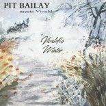 Pit Bailay meets Antonio Vival - Vivaldi's Winter (Winter Radio Mix)