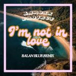 LaRoxx Project - I'm Not In Love (Balan Blue Remix)