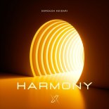 Soroush Heidari - Harmony