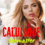 Sebmaster - Całuj Mnie