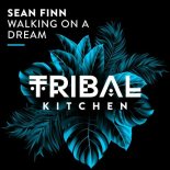 Sean Finn - Walking on a Dream (Extended Mix)