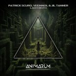 Patrick Scuro, VEENMOL, Jil Tanner - Labyrinth (Extended Mix)