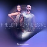 Eliad Cohen feat. NALAYA - Freed From Desire (Radio Edit)