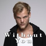 Avicii - Without You (Mattrecords Remix)