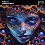 PHINSTR - Kammerphilter (Original Mix)