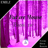 EmilZ - Future House Bassline (FHB)