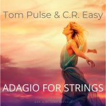 Tom Pulse&C.R.Easy - Adagio For Strings (Extended Mix)