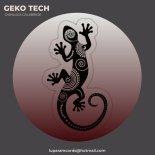 Gianluca Calabrese - Geko Tech