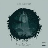 Harmonic Forest - Enter the Forest