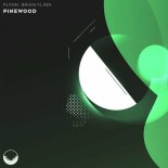 Plynn, Brian Flinn - Pinewood (Extended)