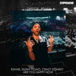 R3HAB, Xilina Yigao, Crazy Donkey - Are You Happy Now (Dipside Remix)