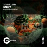 Richard Grey - Believe (Sandro Puddu Remix)