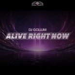 DJ Gollum - Alive Right Now