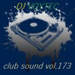 DJ VOYTEC CLUB SOUND VOL.173